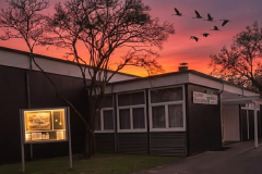 Stami-Webseite-1-1-1